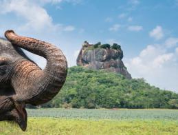 sri_lanka